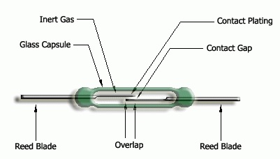 reed-role.jpg (18 KB)